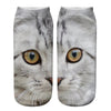 Creative Cat Print Socks