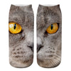 Creative Cat Print Socks