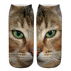 Creative Cat Print Socks