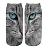 Creative Cat Print Socks