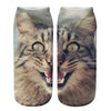 Creative Cat Print Socks