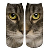 Creative Cat Print Socks