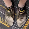 Creative Cat Print Socks