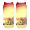 Creative Cat Print Socks