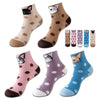 Pack Of 5 Pairs Of Cartoon Socks