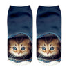 Creative Cat Print Socks