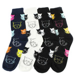 Kattemønster afslappet sokker