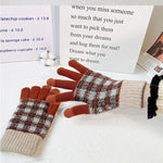 Vintage rutiga varma handskar